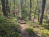 pxl_20250412_185032285_small.jpg