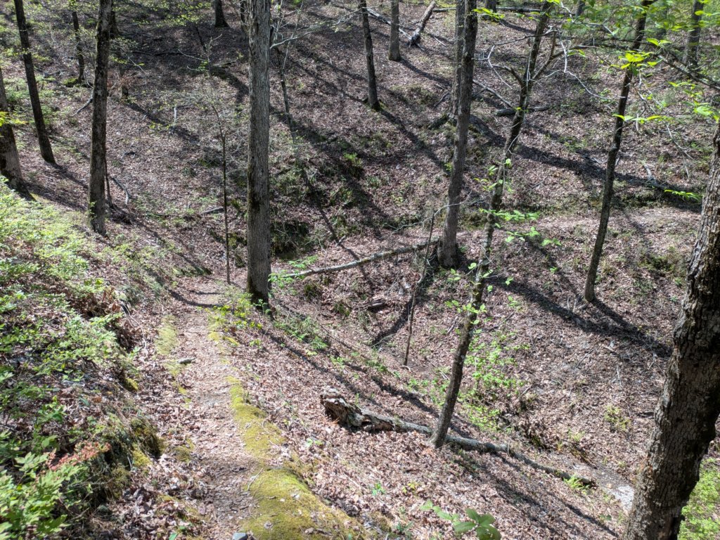 pxl_20250412_185101161.jpg