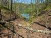 pxl_20250412_185129439_small.jpg