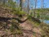 pxl_20250412_185137810_small.jpg