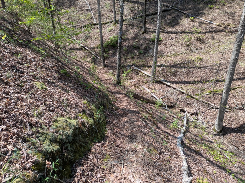 pxl_20250412_185218444.jpg