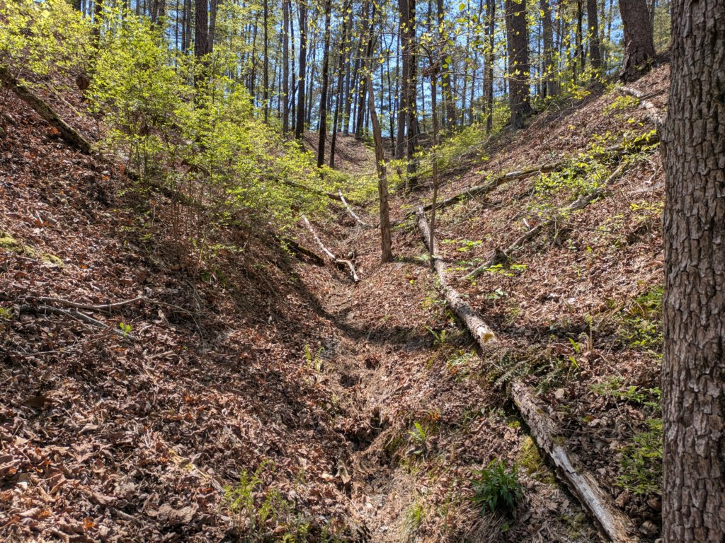 pxl_20250412_185236667.jpg