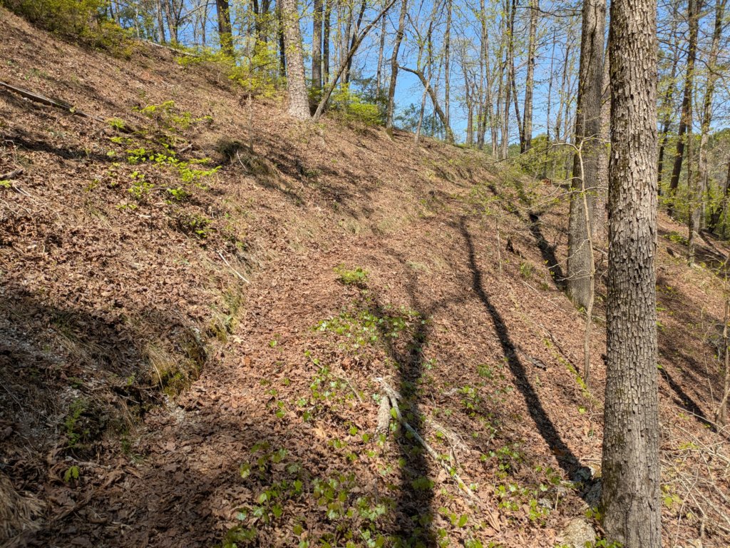 pxl_20250412_185243316.jpg