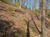 pxl_20250412_185243316_small.jpg