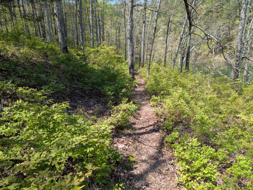 pxl_20250412_185334324.jpg