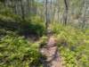 pxl_20250412_185334324_small.jpg