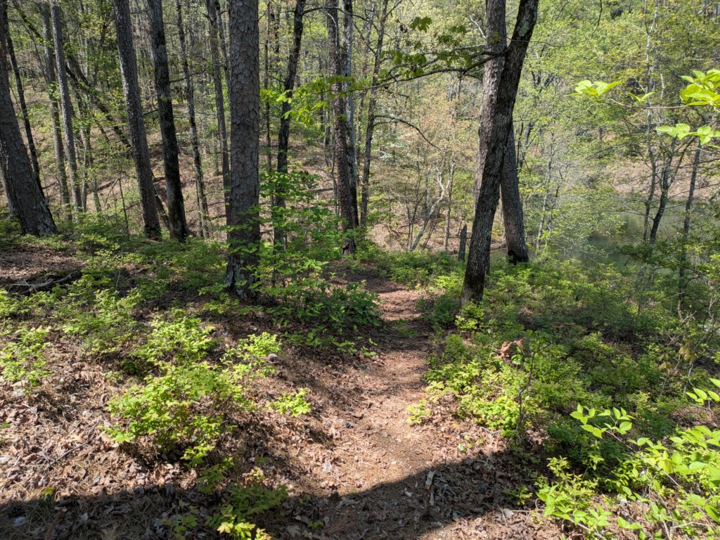 pxl_20250412_185440844.jpg