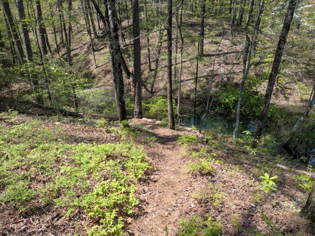 pxl_20250412_185509119.jpg