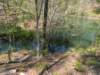 pxl_20250412_185530549_small.jpg