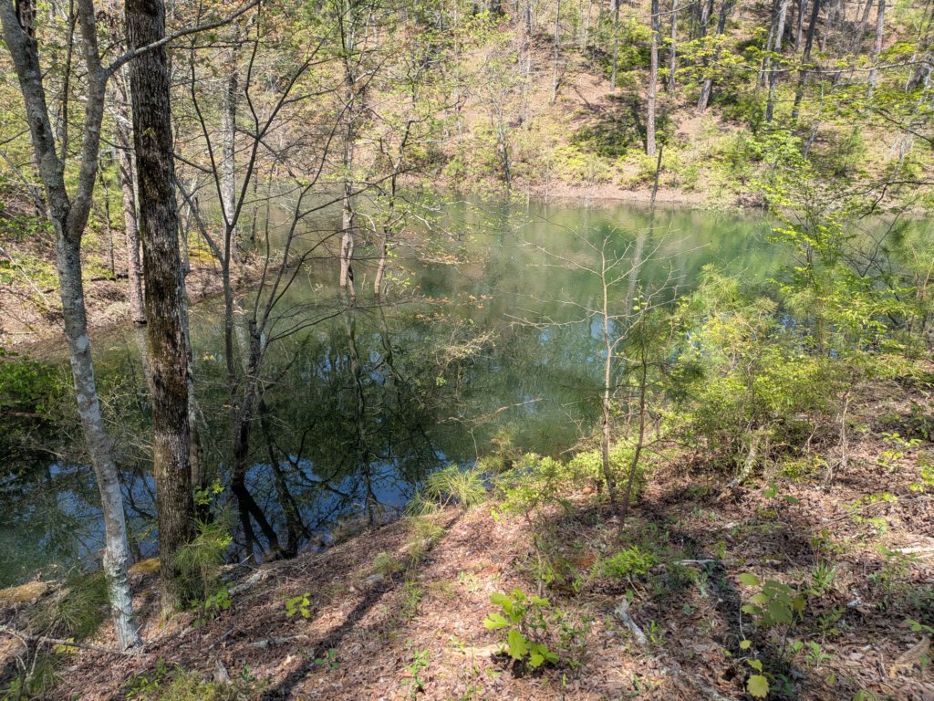 pxl_20250412_185532179.jpg