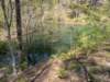 pxl_20250412_185532179_small.jpg