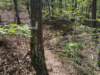 pxl_20250412_185544507_small.jpg