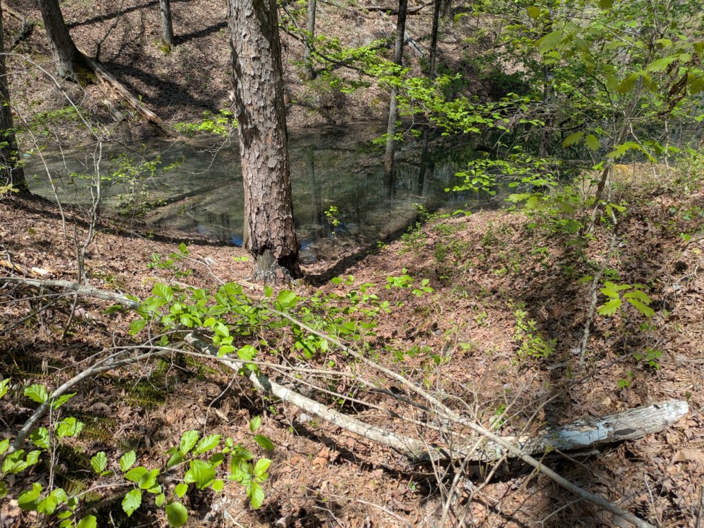 pxl_20250412_185558824.jpg