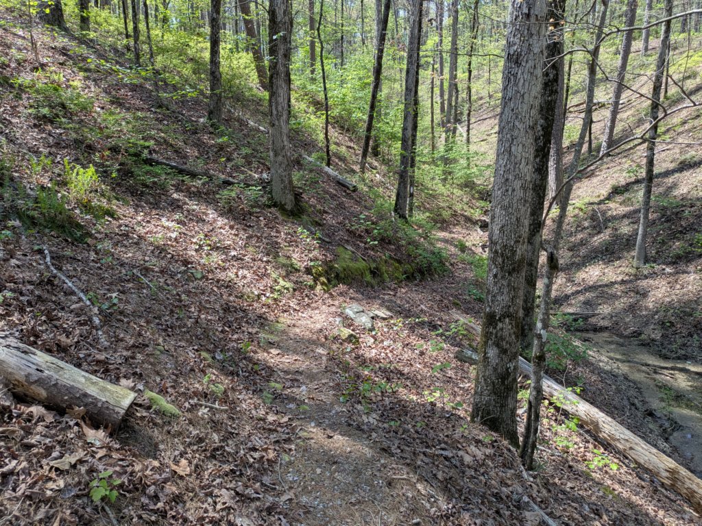 pxl_20250412_185614243.jpg
