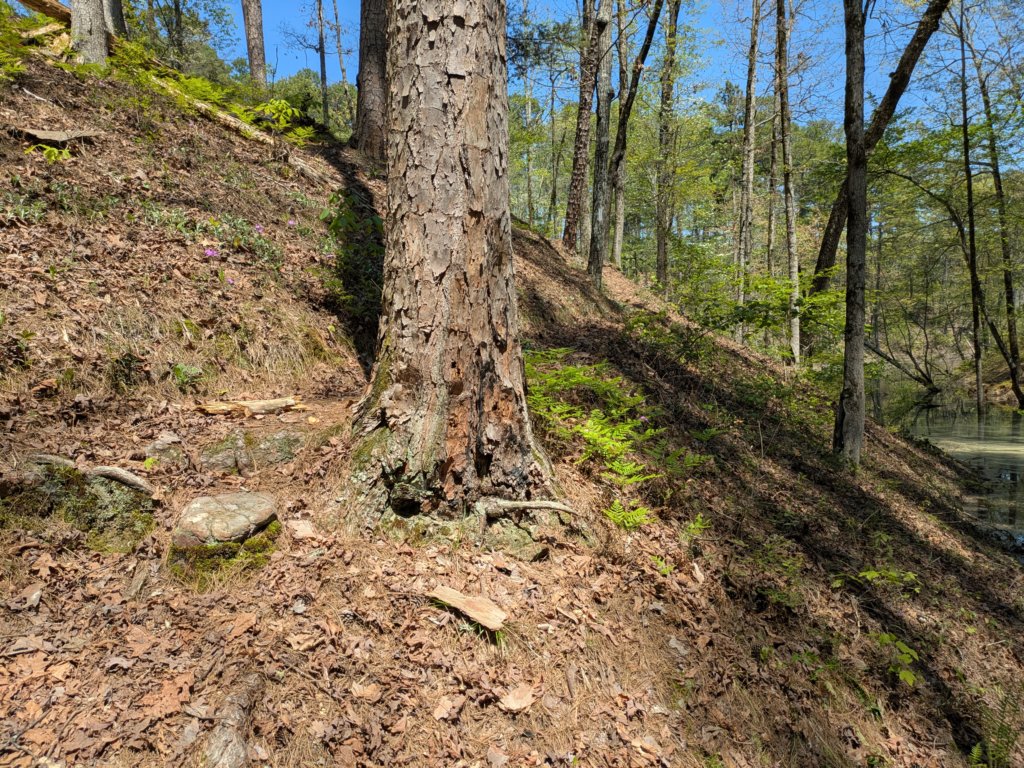 pxl_20250412_185651457.jpg