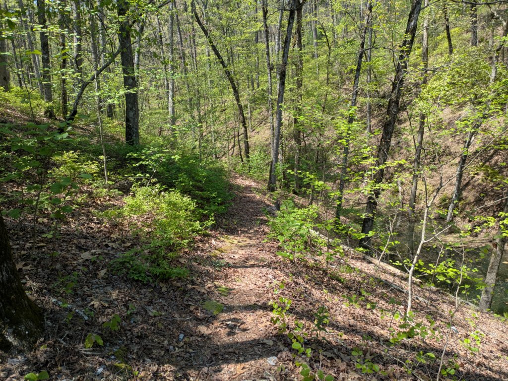 pxl_20250412_185809395.jpg