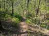 pxl_20250412_185809395_small.jpg