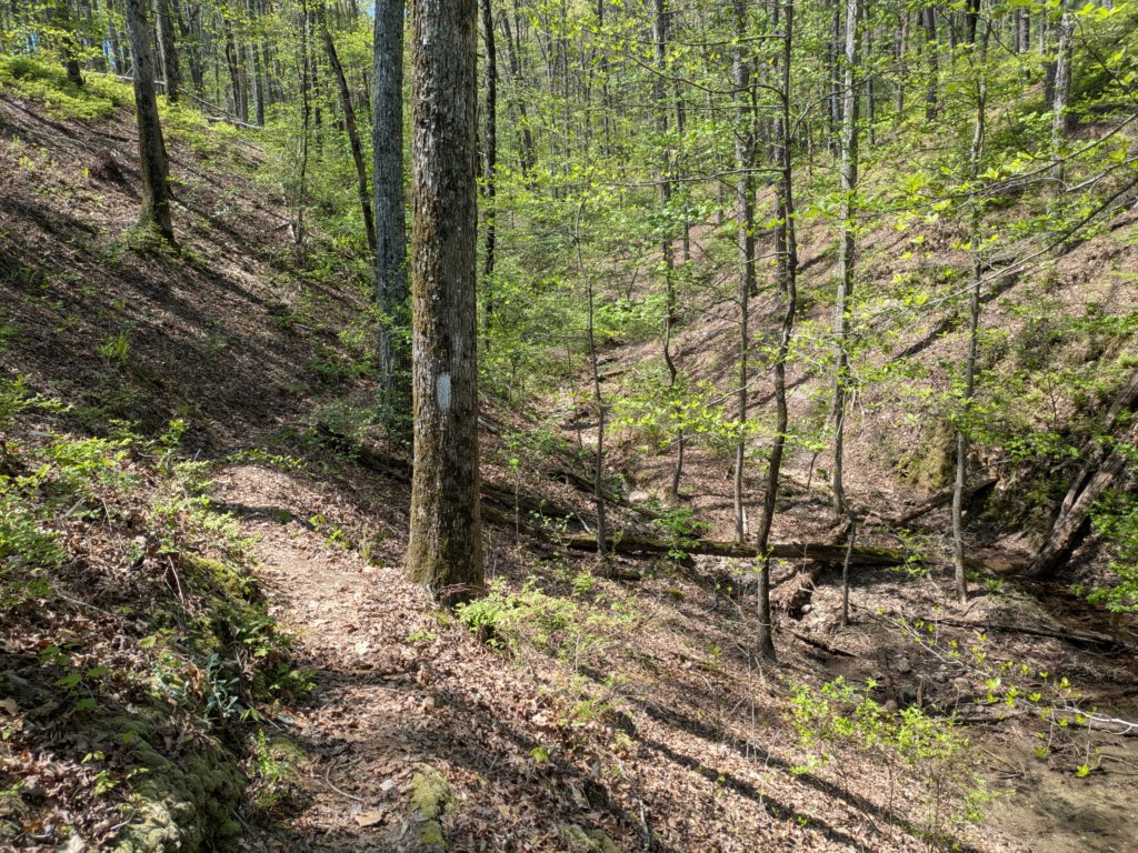 pxl_20250412_185833659mp.jpg