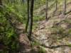pxl_20250412_185853280_small.jpg
