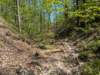 pxl_20250412_185922299_small.jpg