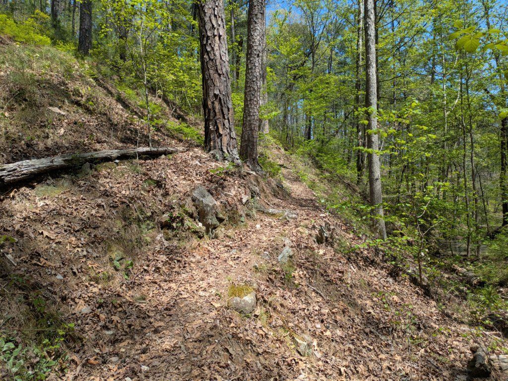 pxl_20250412_185925326.jpg