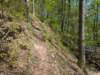 pxl_20250412_185938167_small.jpg