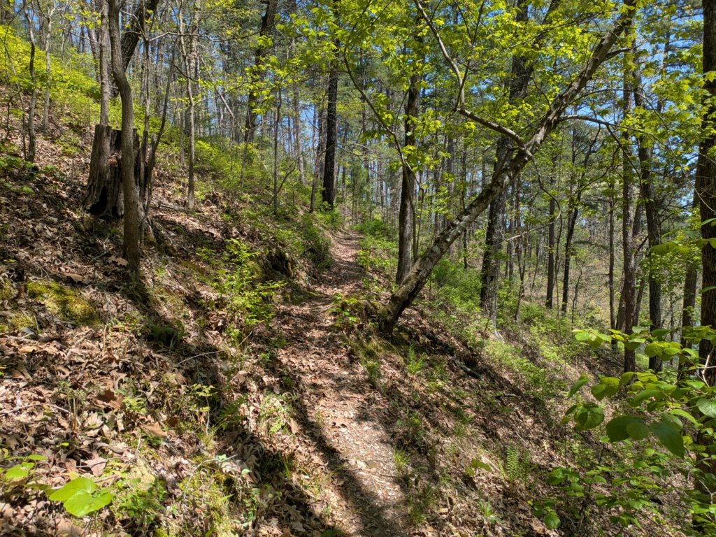 pxl_20250412_190001491.jpg