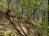 pxl_20250412_190001491_small.jpg