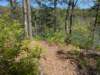 pxl_20250412_190222315_small.jpg