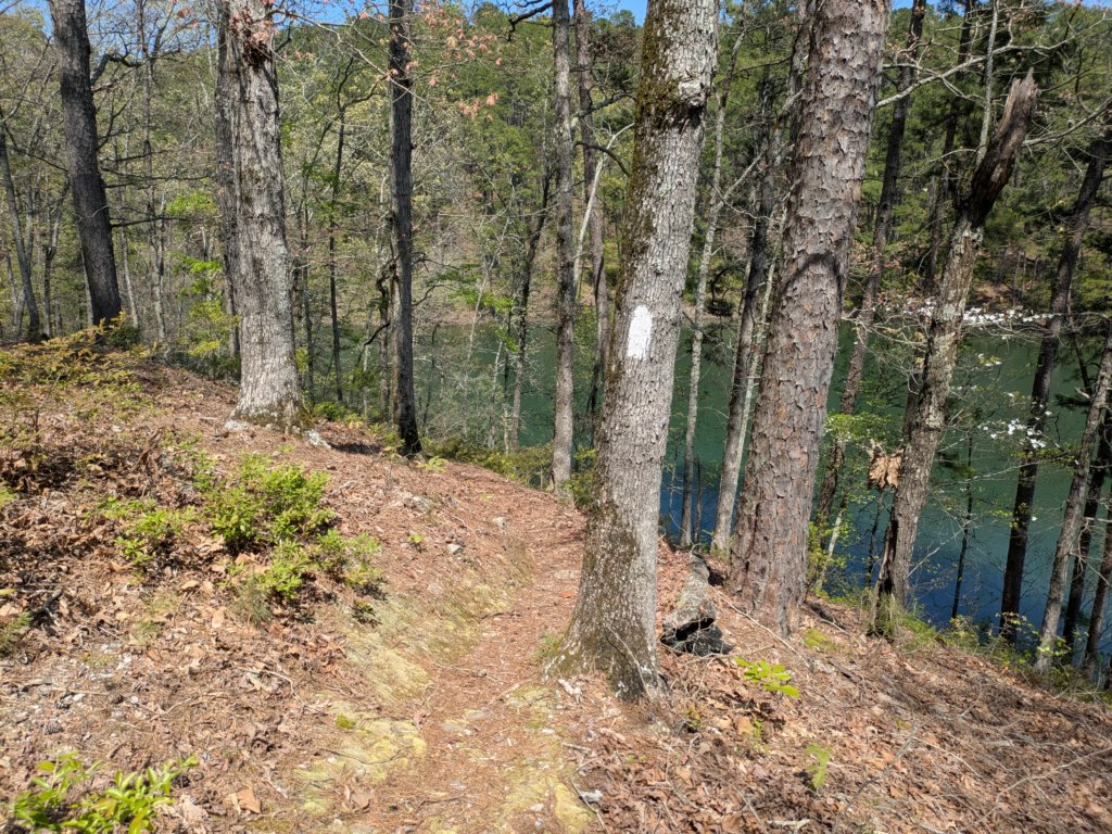 pxl_20250412_190228705.jpg
