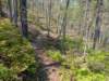 pxl_20250412_190314770_small.jpg