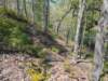 pxl_20250412_190345731_small.jpg