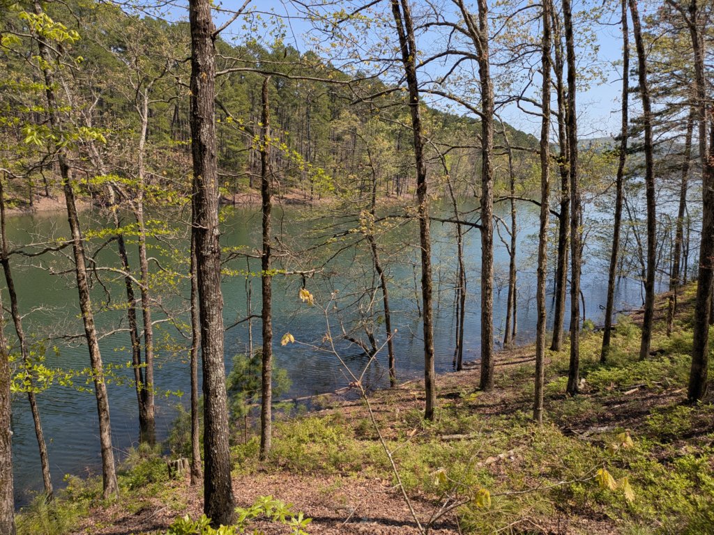 pxl_20250412_190349974.jpg