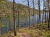 pxl_20250412_190349974_small.jpg
