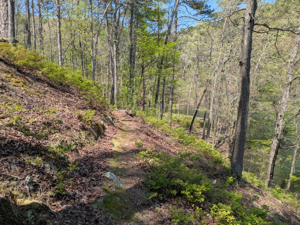 pxl_20250412_190408423.jpg