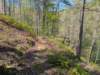 pxl_20250412_190408423_small.jpg