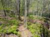 pxl_20250412_190436135_small.jpg