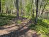 pxl_20250412_190507800_small.jpg