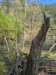 pxl_20250412_190550341_small.jpg