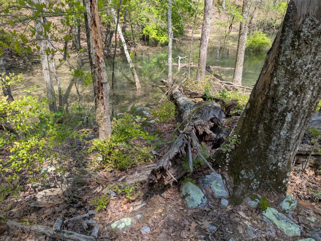 pxl_20250412_190553396.jpg