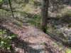 pxl_20250412_190620647_small.jpg