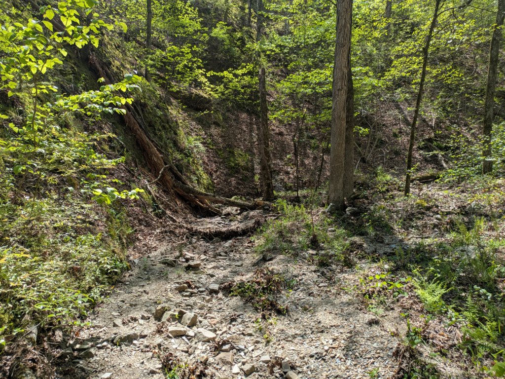 pxl_20250412_190638676.jpg