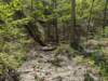 pxl_20250412_190638676_small.jpg
