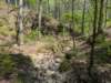 pxl_20250412_190654557_small.jpg