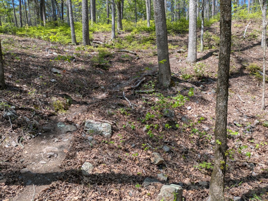 pxl_20250412_190657087.jpg