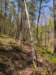 pxl_20250412_190819638_small.jpg