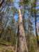 pxl_20250412_190831380_small.jpg
