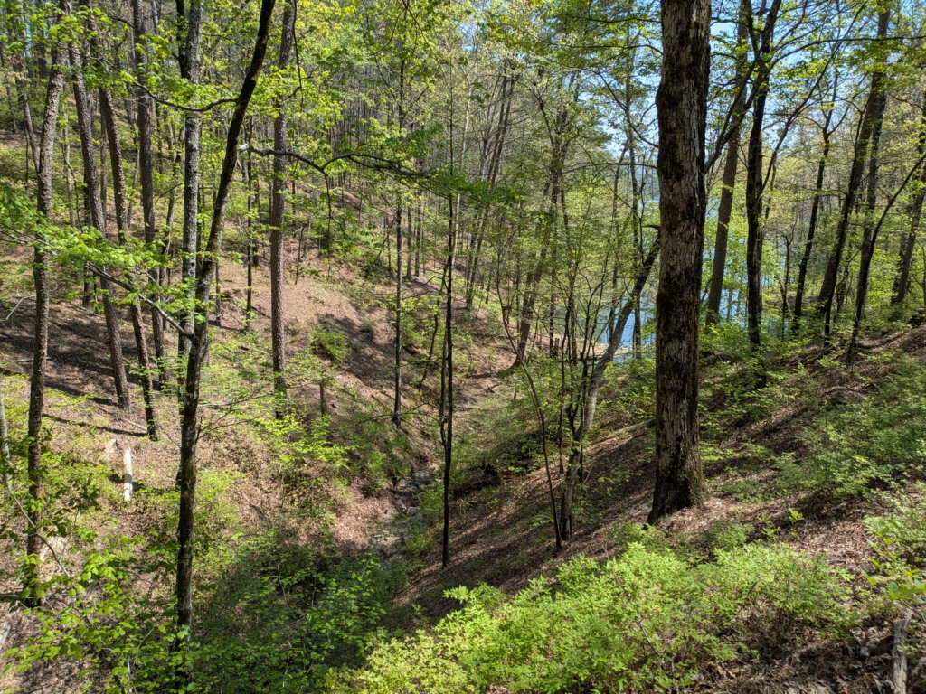 pxl_20250412_190853499.jpg