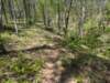 pxl_20250412_190921627_small.jpg