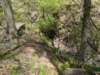 pxl_20250412_190946552_small.jpg